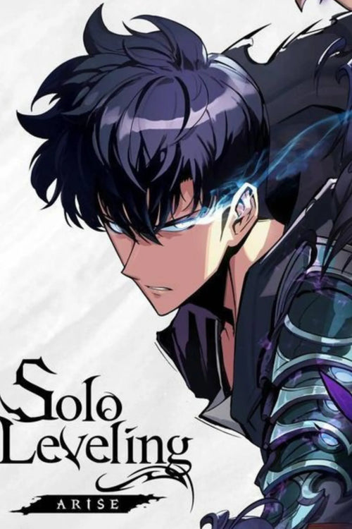 Sung Jin-woo Solo Leveling Metal Wall Posters | Premium, Waterproof & Magnet-Mounted Art