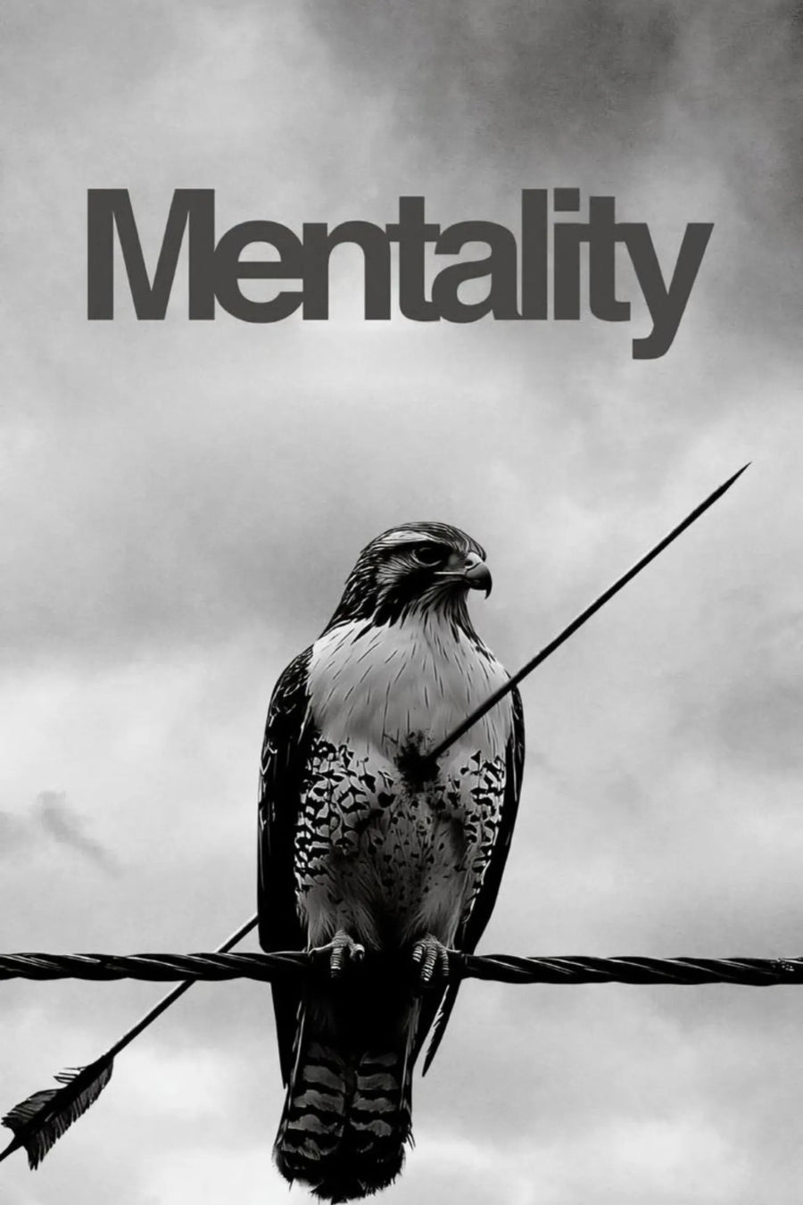 Unstoppable Mentality Inspirational Metal Posters | Premium, Waterproof & Magnet-Mounted Art