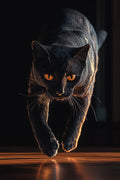 Black Cat With Golden Eyes Metal Wall Posters | Premium, Waterproof & Magnet-Mounted Art