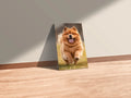 Chow Chow Dog Playing  Metal Wall Posters | Premium, Waterproof & Magnet-Mounted Art