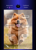 Chow Chow Dog Playing  Metal Wall Posters | Premium, Waterproof & Magnet-Mounted Art