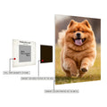 Chow Chow Dog Playing  Metal Wall Posters | Premium, Waterproof & Magnet-Mounted Art