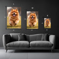 Chow Chow Dog Playing  Metal Wall Posters | Premium, Waterproof & Magnet-Mounted Art