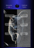 Grey Cat Metal Wall Posters | Premium, Waterproof & Magnet-Mounted Art