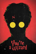 Harry Potter You_re a Wizard Metal Posters | Premium, Waterproof & Magnet-Mounted Art