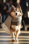 Husky Dog with Scarf Metal Wall Posters | Premium, Waterproof & Magnet-Mounted Art