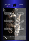Jumping Cat Metal Wall Posters | Premium, Waterproof & Magnet-Mounted Art
