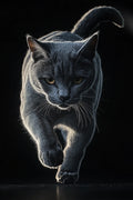 Grey Cat Metal Wall Posters | Premium, Waterproof & Magnet-Mounted Art