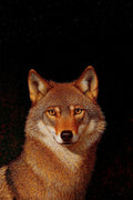 ًWild Wolf Metal Wall Posters | Premium, Waterproof & Magnet-Mounted Art