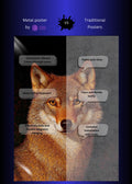 ًWild Wolf Metal Wall Posters | Premium, Waterproof & Magnet-Mounted Art
