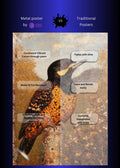 Woodpecker Metal Wall Posters | Premium, Waterproof & Magnet-Mounted Art